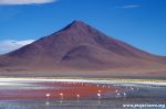 Lagon rouge Uyuni