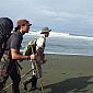 Le parc du Corcovado c'est beaucoup beaucoup de marche (environ 8h pour arriver au camping)