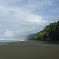 Beaucoup de marche sur la plage entre la mer et la forêt