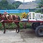 Voici des taxis bien typiques à la frontière de la Colombie ! Original avec des chaises en plastique ! ;)