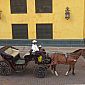 Jolie calèche à Cartagène