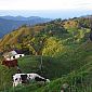 Un petit tour en hauteur pour avoir une meilleure vue sur le paysage...