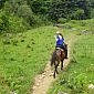 Mais c'est génial, surtout au galop ! ;)