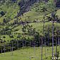 Parc Cocora de Salento