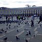 Place centrale pleine de pigeons...