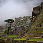 Ruines du Machu Picchu