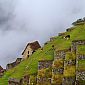 Machu Picchu (5)