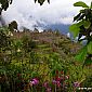 Machu Picchu (6)