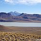 Tour Salar D'Uyuni