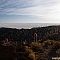 Après le lever de soleil, nous visitons l'île au cactus