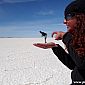 Séance photos sur le Salar d'Uyuni !