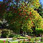 Balade dans le jardin botanique de Viña del Mar...