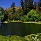 Jardin botanique Viña del Mar