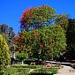 Bon petit moment de détente passé dans ce jardin botanique...