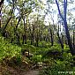 Promenade dans les sentiers du parc national : Wilsons Promontory