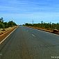 Malheureusement il y a également sur la route de nombreuses vaches mortes, comme vous pouvez voir ici sur les deux côtés de la route...