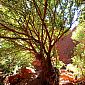 Parc national de Karijini