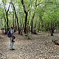 Et c'est parti pour la visite du parc national Kakadu, dans le Nord de l'Australie