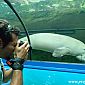 Aquarium Sydney