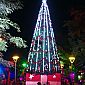Noël place des cocotiers