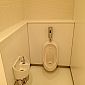 On trouve parfois aussi des toilettes pour les petits garçons chez les femmes, pratique ! ;)