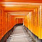 Temple Fushimi Inari-taisha